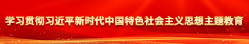 插B视频在线看无码学习贯彻习近平新时代中国特色社会主义思想主题教育